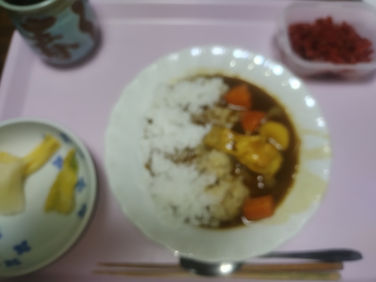 今日の夕食－カレーライス